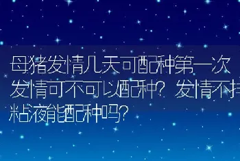 母猪发情几天可配种第一次发情可不可以配种？发情不排粘液能配种吗？