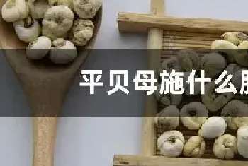 平贝母施什么肥