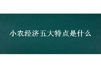 小农经济五大特点是什么