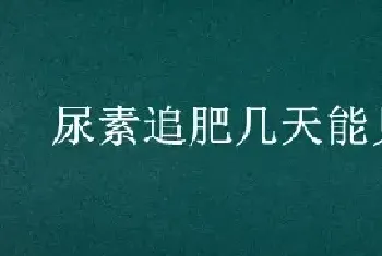 尿素追肥几天能见效