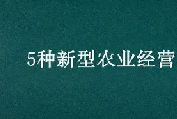 5种新型农业经营主体