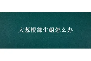 大葱根部生蛆怎么办