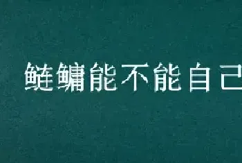 鲢鳙能不能自己繁殖