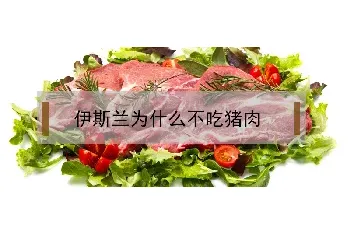 伊斯兰为什么不吃猪肉