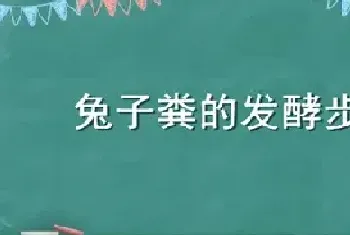 兔子粪的发酵步骤