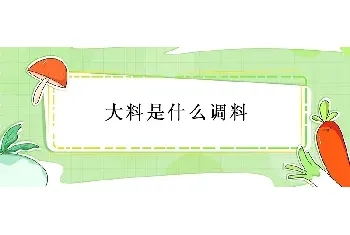 大料是什么调料