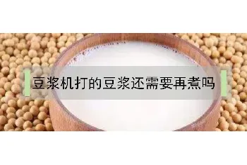 豆浆机打的豆浆还需要再煮吗