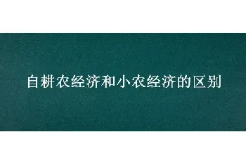 自耕农经济和小农经济的区别