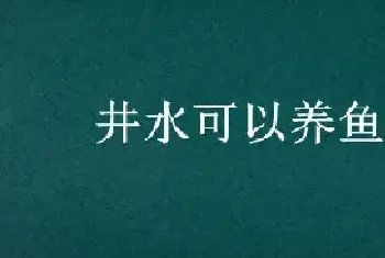 井水可以养鱼吗