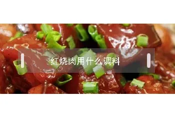 红烧肉用什么调料