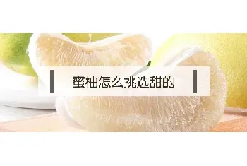 蜜柚怎么挑选甜的