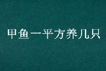 甲鱼一平方养几只