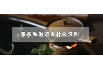 煮茶和泡茶有什么区别