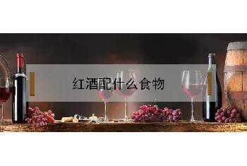 红酒配什么食物