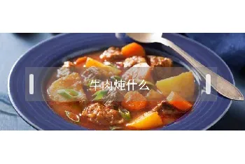 牛肉炖什么