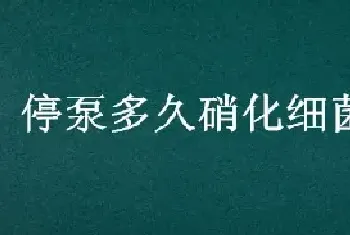 停泵多久硝化细菌死亡