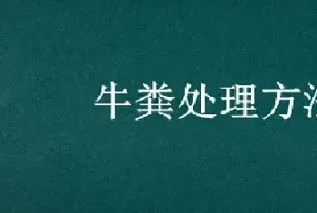 牛粪处理方法