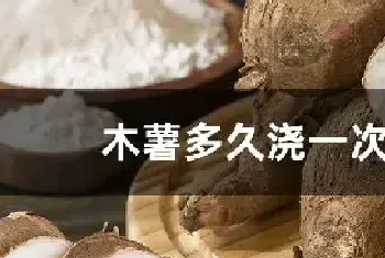 木薯多久浇一次水