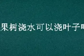 给果树浇水可以浇叶子吗