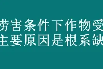 涝害条件下作物受害的主要原因是根系缺乏什么