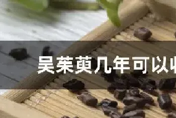 吴茱萸几年可以收获