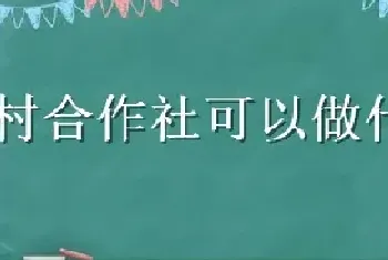 农村合作社可以做什么项目