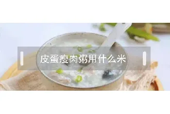 皮蛋瘦肉粥用什么米