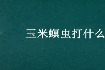 玉米螟虫打什么药