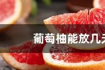 葡萄柚能放几天