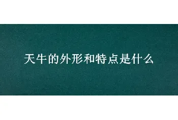 天牛的外形和特点是什么