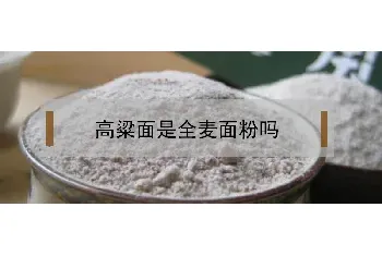 高粱面是全麦面粉吗