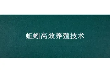 蚯蚓高效养殖技术