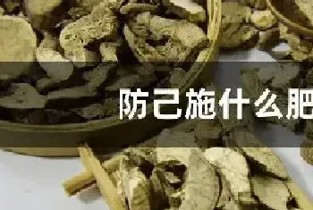 防己施什么肥