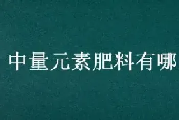 中量元素肥料有哪几种