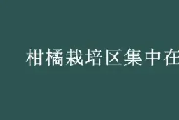 柑橘栽培区集中在哪里