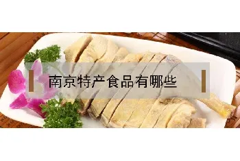 南京特产食品有哪些推荐