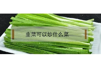 韭菜可以炒什么菜