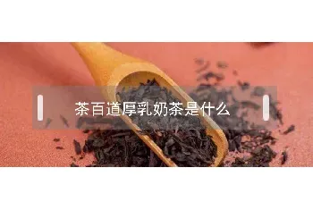 茶百道厚乳奶茶是什么