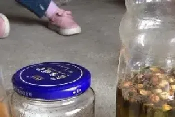 钓鱼药酒中药配方是什么？药酒中药钓鱼效果