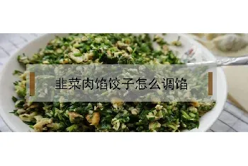 韭菜肉馅饺子怎么调馅