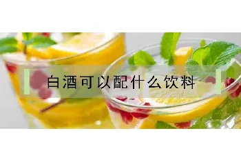 白酒可以配什么饮料