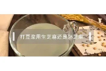 打豆浆用生芝麻还是熟芝麻