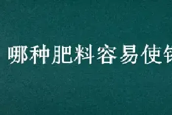 哪种肥料容易使钙流失