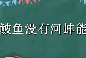 鳑鲏鱼没有河蚌能繁殖吗