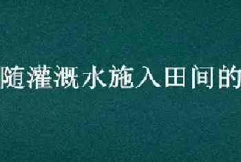 肥料随灌溉水施入田间的过程