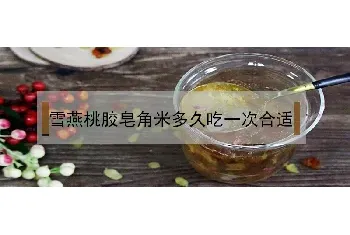 雪燕桃胶皂角米多久吃一次合适