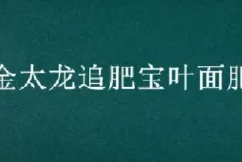 金太龙追肥宝叶面肥的效果