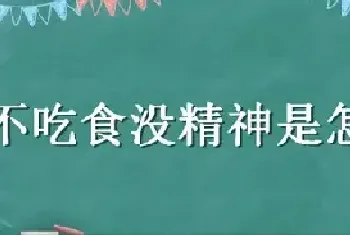 羊不吃食没精神是怎么回事