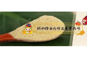 胡椒粉白的好还是黑的好