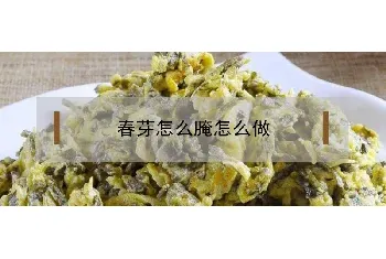 春芽怎么腌才好吃？